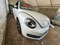 Volkswagen Coccinelle Cabriolet 1.2 TSI 105 Blanc - thumbnail 2