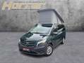 Mercedes-Benz V 220 Marco Polo ACTIVITY EDITION SHD LED Mark Grün - thumbnail 1