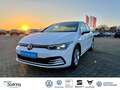 Volkswagen Golf VIII 1,5 TSI Life Navi LED Rückfahrkamera Blanc - thumbnail 1