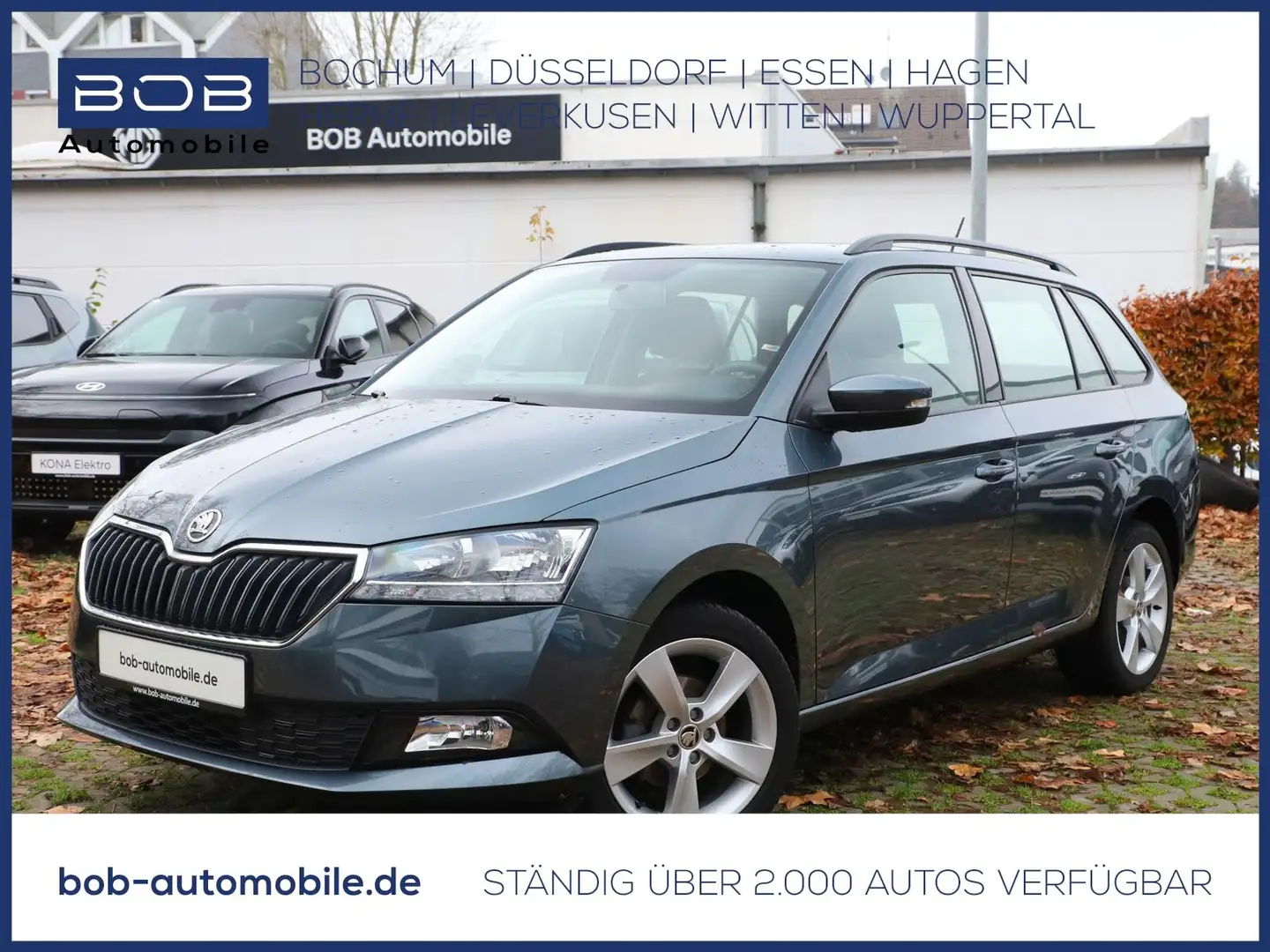 Skoda Fabia Fabia Cool Plus SHZ PDC KLIMA LM-Felgen Grau - 1