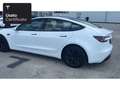 Tesla Model 3 Rear-Wheel Drive Bianco - thumbnail 15
