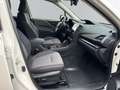 Subaru Forester Sport Edition Weiß - thumbnail 9