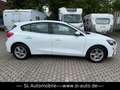 Ford Focus 1.5 EB Lim. Cool & Connect Navi Kam LED Wit - thumbnail 13