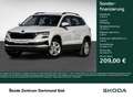 Skoda Karoq 1.5 SELECTION CAM NAVI LM17 SITZHEIZUNG Weiß - thumbnail 1