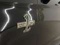 Ford Mustang Shelby Supersnake 50th Anniversary Schwarz - thumbnail 23