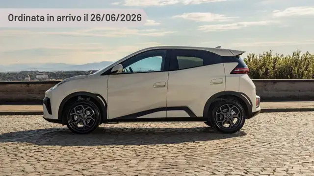 BYD Dolphin Surf 30 kWh Active