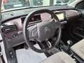 Citroen C4 Cactus 131 cv Shine Bianco - thumbnail 8