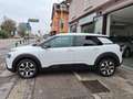 Citroen C4 Cactus 131 cv Shine Bianco - thumbnail 2