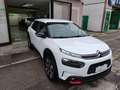 Citroen C4 Cactus 131 cv Shine Bianco - thumbnail 14