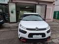Citroen C4 Cactus 131 cv Shine Bianco - thumbnail 11