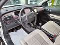 Citroen C4 Cactus 131 cv Shine Bianco - thumbnail 4