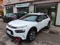 Citroen C4 Cactus 131 cv Shine Bianco - thumbnail 15