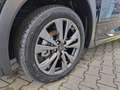 Lexus UX 300e UX 300h F Sport Design ACC FLA SpurH LM Grau - thumbnail 12