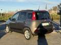Fiat Panda 1.0 firefly hybrid CITY LIFE UFF. ITA Gris - thumbnail 10