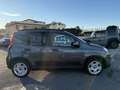 Fiat Panda 1.0 firefly hybrid CITY LIFE UFF. ITA Gris - thumbnail 8
