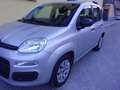 Fiat Panda 1.2 Easy 69cv E6-X NEO PATENTATI !!! Argento - thumbnail 14