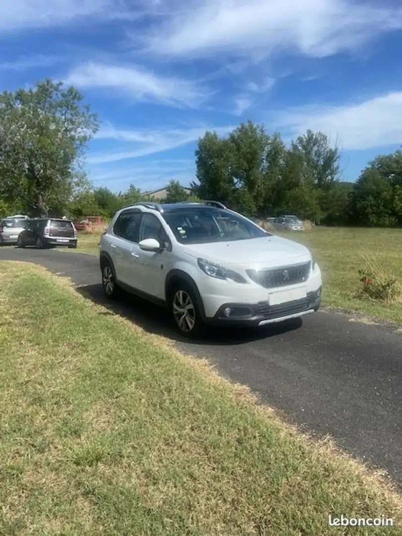 Peugeot 2008 1.5 bhdi 100 active business Blanc - 2