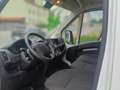 Citroen Jumper 35 L3H2 Control BlueHDi 140 Start&Stop Weiß - thumbnail 11