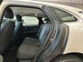 Jaguar F-Pace F-Pace 2015 2.0d i4 Portfolio 180cv auto my19 - thumbnail 8