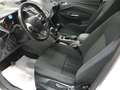 Ford C-Max 1.0 Ecoboost Auto-S&S Titanium 125 Blanco - thumbnail 8