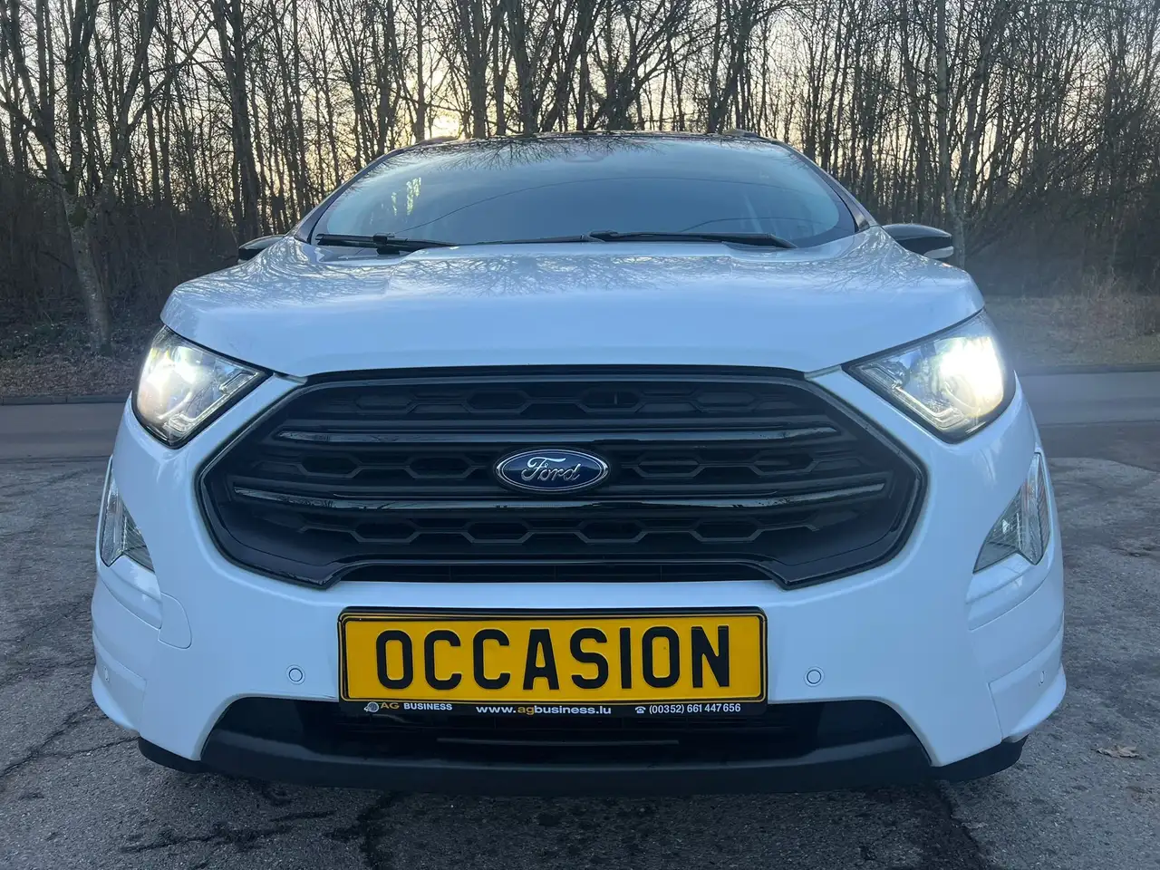 1.0 ST-LINE EcoBoost Titanium Navi Camera Jante