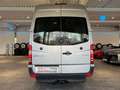 Mercedes-Benz Sprinter 513 CDI Hoch+Lang*Regale*Garantie* Argent - thumbnail 4