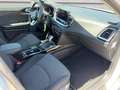 Kia Ceed SW / cee'd SW 1,6 CRDi SCR ISG Silber 48V DCT Silber - thumbnail 13