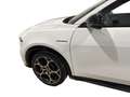 Alfa Romeo Tonale ALFA MY24 HYBRID 160CV VELOCE Bianco - thumbnail 12