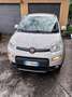 Fiat Panda Panda III 2012 4x4 1.3 mjt 16v 4x4 s Beige - thumbnail 1