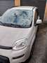 Fiat Panda Panda III 2012 4x4 1.3 mjt 16v 4x4 s Beige - thumbnail 6