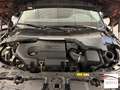 Land Rover Range Rover Evoque 2.0d i4 mhev S Business Edition Premium awd 150cv Gold - thumbnail 20