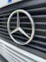 Mercedes-Benz T1 Blanco - thumbnail 24