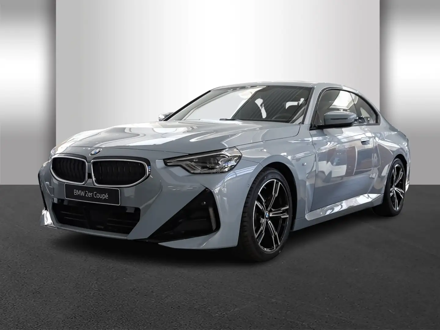 BMW 220 i Steptronic Coupe Navi Glasdach Bluetooth PDC MP3 Grau - 2