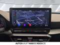 CUPRA Formentor 2.0 TDI DSG 4Drive NAVI LED KLIMAAUT SHZ Noir - thumbnail 12