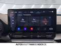 CUPRA Formentor 2.0 TDI DSG 4Drive NAVI LED KLIMAAUT SHZ Noir - thumbnail 27