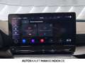 CUPRA Formentor 2.0 TDI DSG 4Drive NAVI LED KLIMAAUT SHZ Noir - thumbnail 24