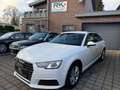 Audi A4 sehr gepflegt Weiß - thumbnail 1