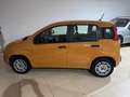 Fiat Panda 1.2 Lounge s&s 69cv my19 - thumbnail 1