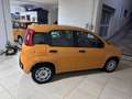 Fiat Panda 1.2 Lounge s&s 69cv my19 - thumbnail 7