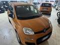 Fiat Panda 1.2 Lounge s&s 69cv my19 - thumbnail 8