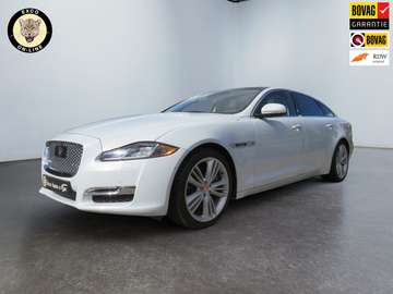 5.0 V8 SC
