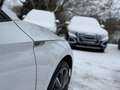 Skoda Superb Combi Sportline iV Hybrid,Pano,AhkStandhz Weiß - thumbnail 11