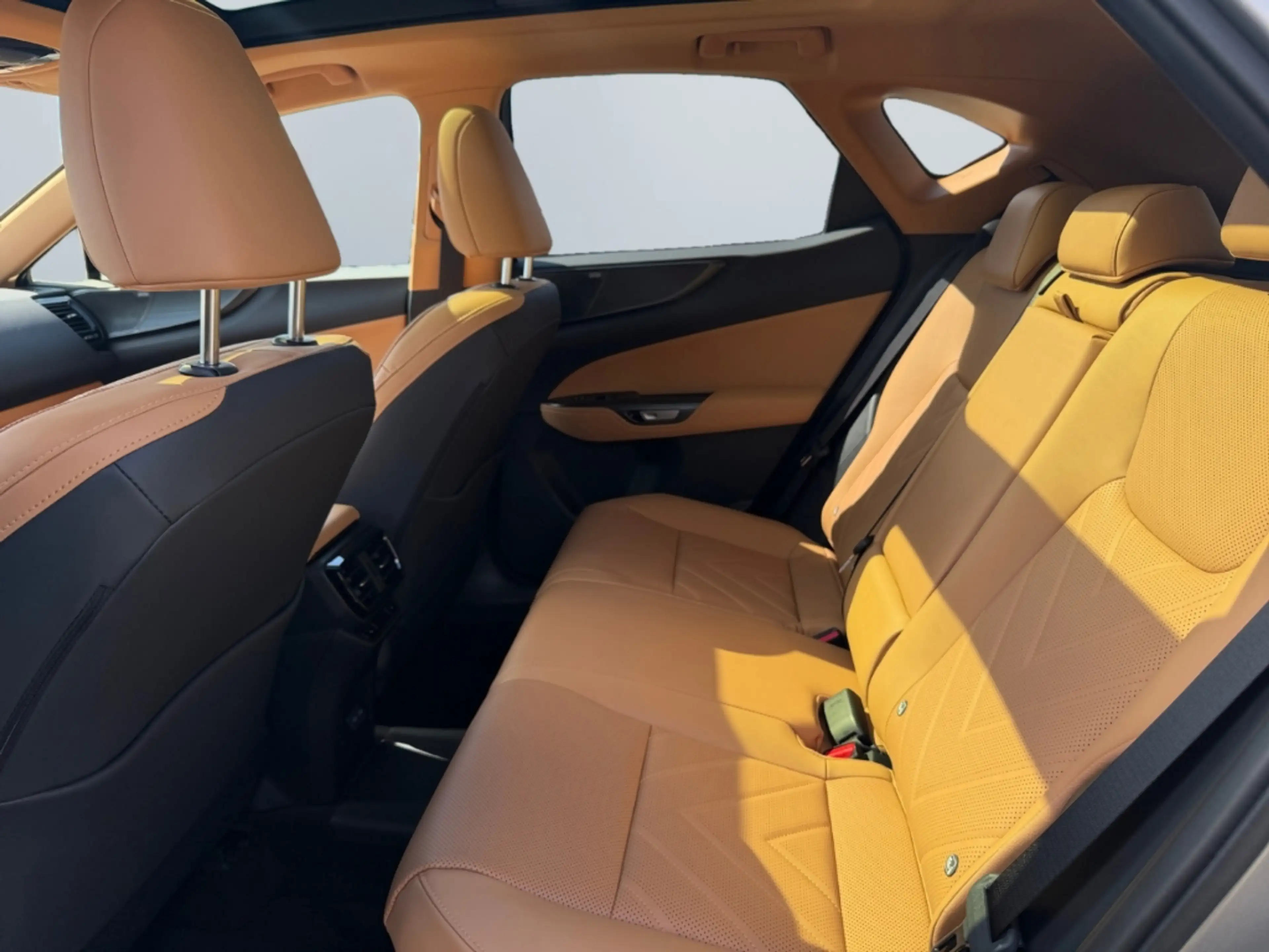 Lexus NX 450h+ Plug-in, Hybrid Luxury*Panorama* — photo 15