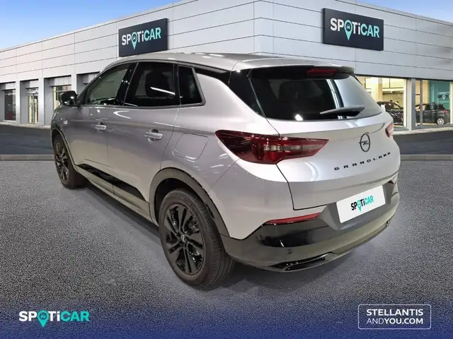 Opel Grandland view 5