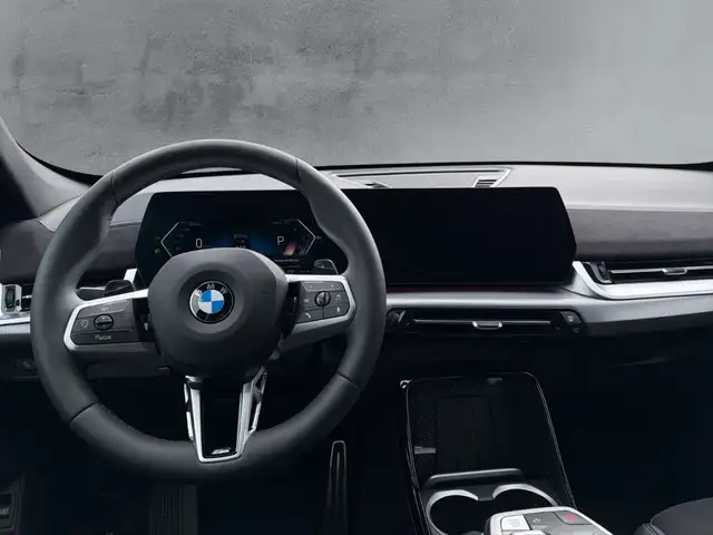 BMW X1 view 10
