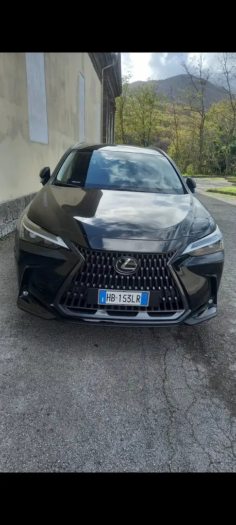 Lexus NX 450h+ NX Plug-in Hybrid 4wd 309cv Nero - 2