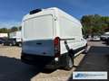 Ford Transit Kasten 350 L2 Trend 2.0 TDCi DPF EU6d Klimaautom D Weiß - thumbnail 6
