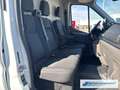 Ford Transit Kasten 350 L2 Trend 2.0 TDCi DPF EU6d Klimaautom D Weiß - thumbnail 18