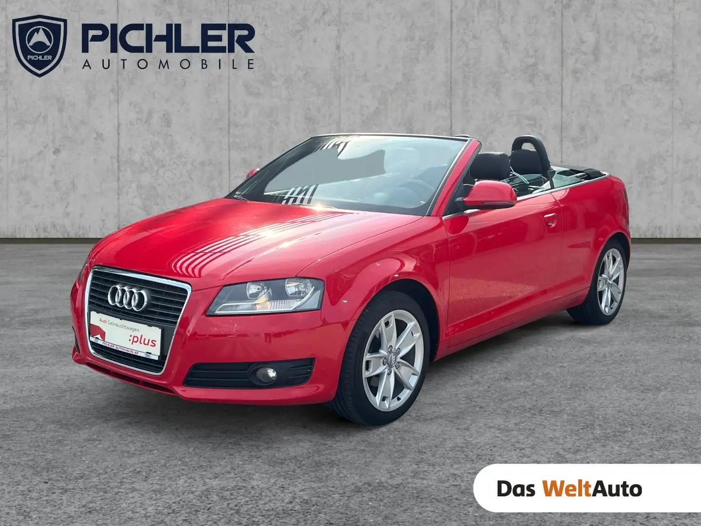 Audi A3 1.6 Ambition Czerwony - 1