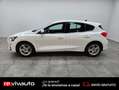 Ford Focus 1.5 Ecoblue Trend+ 120 Blanco - thumbnail 7